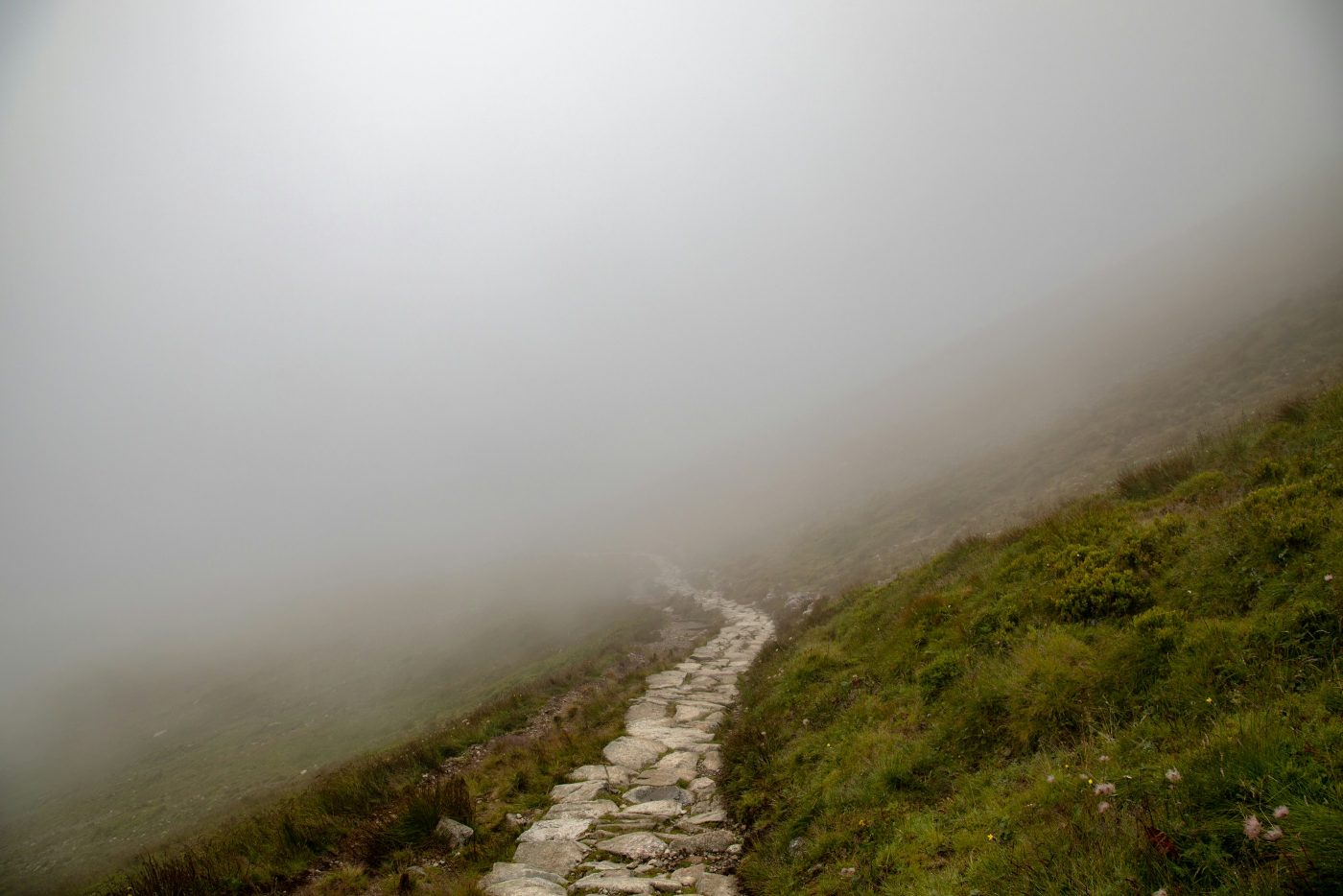 Un sendero de piedra sube por una ladera de hierba y se pierde en la niebla. Foto: Katja Ano en Unsplash.